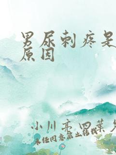 男尿刺疼是什么原因