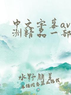 中文字幕av亚洲精品一部二部