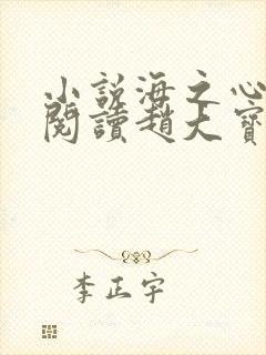 小说海之心在线阅读赵大宝