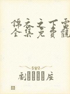 锦衣之下电视剧全集免费观看高清