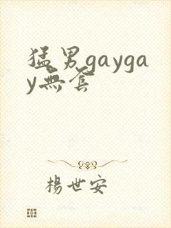 猛男gaygay无套