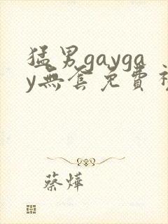 猛男gaygay无套免费视频.