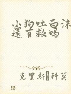 小狗吐白沫拉血还有救吗