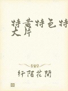 特黄特色特爽黄大片