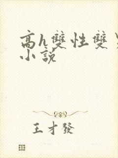 高h双性双男主小说