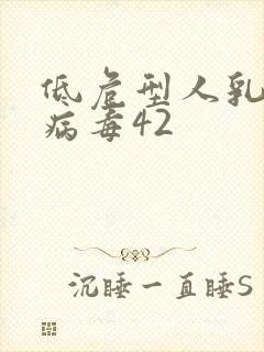 低危型人乳瘤头病毒42