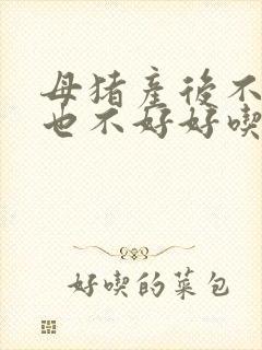 母猪产后不发烧也不好好吃食怎么办