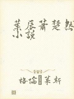 叶辰萧楚然免费小说