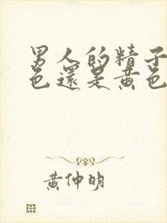 男人的精子是白色还是黄色