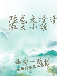 陆成文冷清秋龙傲天小说