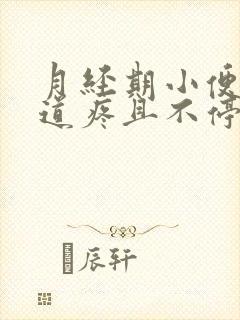 月经期小便时尿道疼且不停有尿意