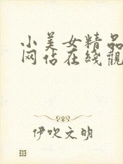 小美女精品视频网站在线观看免费