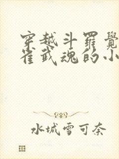 穿越斗罗觉醒朱雀武魂的小说