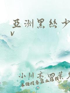 亚洲黑丝少妇av