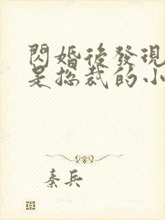 闪婚后发现老公是总裁的小说