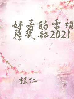 好看的电视剧推荐几部2021