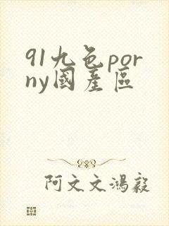 91九色porny国产区