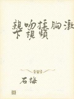 亲吻揉胸激烈摸下视频