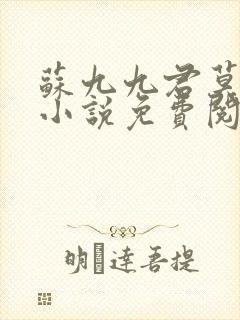 苏九九君莫离的小说免费阅读