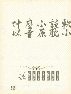 什么小说软件可以看原耽小说