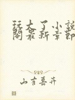 玩大了小说笔趣阁最新章节无弹窗