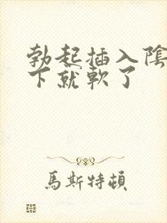 勃起插入阴道几下就软了