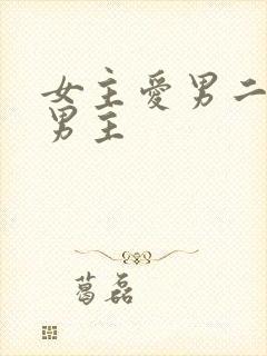 女主爱男二不爱男主