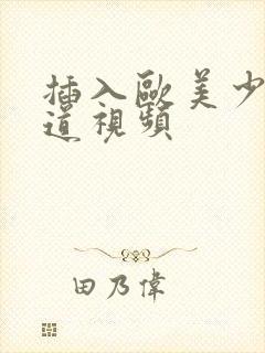 插入欧美少妇阴道视频