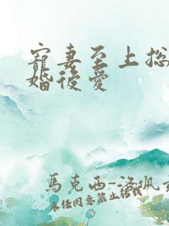 宠妻至上总裁先婚后爱