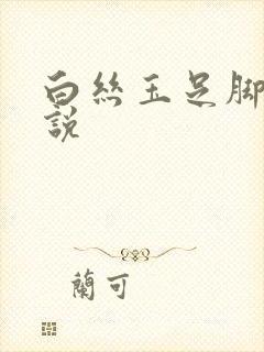 白丝玉足脚交小说