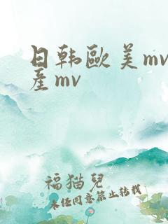 日韩欧美mv国产mv