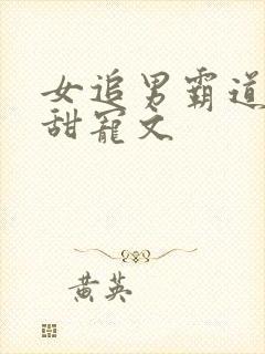 女追男霸道总裁甜宠文