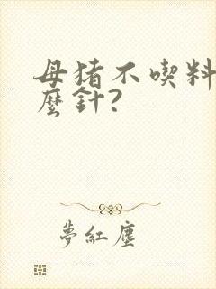 母猪不吃料打什么针?