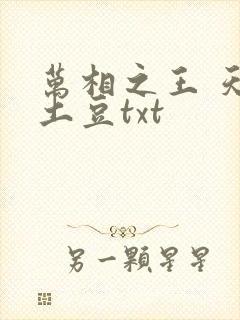 万相之王 天蚕土豆txt
