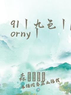 91丨九色丨porny丨