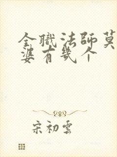 全职法师莫凡老婆有几个