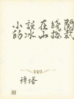 小说在线阅读我的冰山总裁老婆