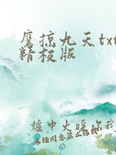 鹰掠九天txt精校版