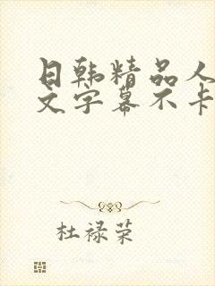 日韩精品人妻中文字幕不卡乱码