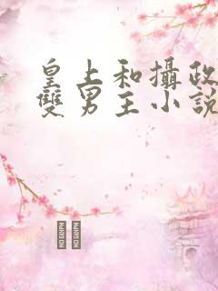 皇上和摄政王的双男主小说