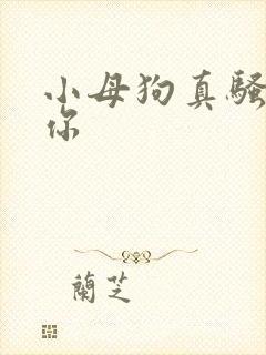小母狗真骚操死你