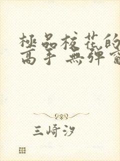 极品校花的贴身高手 无弹窗