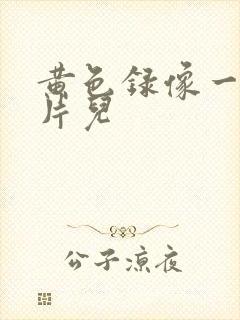 黄色录像一级大片儿