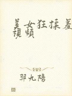 美女狂揉羞羞的视频