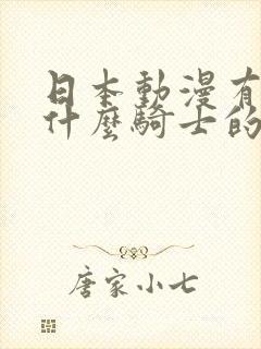 日本动漫有部叫什么骑士的动漫