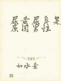 尿黄尿臭是什么原因男性