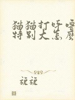 猫猫打呼噜声音特别大怎么回事