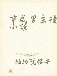 穿成男主后妈的小说