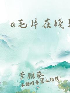 a毛片在线导航