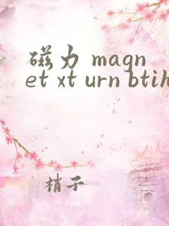 磁力 magnet xt urn btih